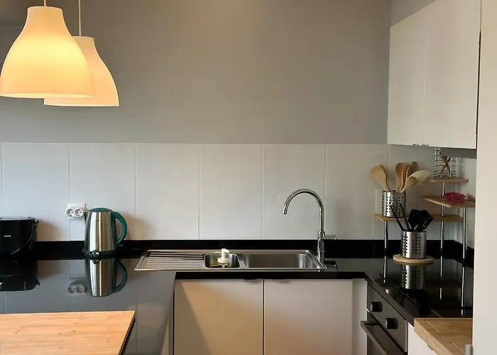 Cozy Duplex Retreat By Park & Ocean View Apartment *